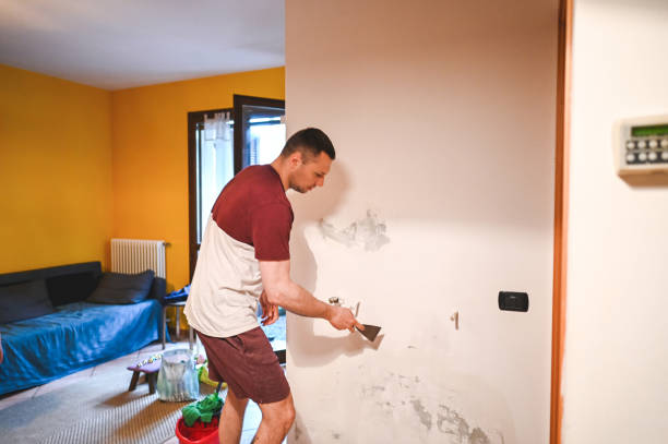 Best Crawl Space Mold Removal  in New Roads, LA