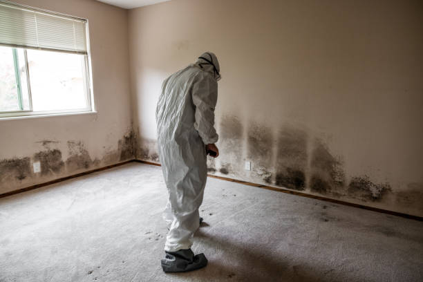 Crawl Space Mold Removal in New Roads, LA